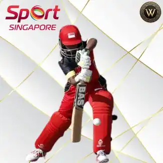 Cricket Gaming